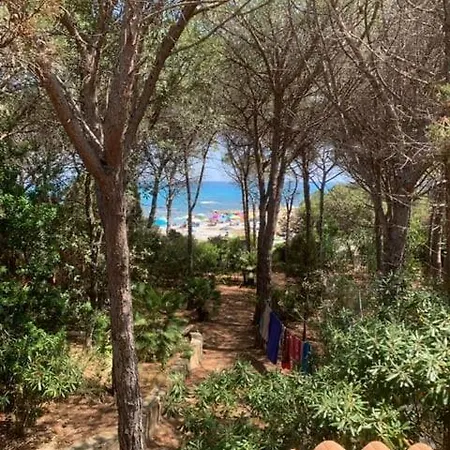 Jana De Mar Apartment